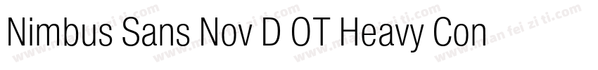 Nimbus Sans Nov D OT Heavy Con Regu字体转换